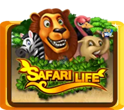Safari Life