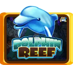 Dolphin Reef