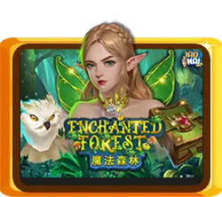Enchanted Forest