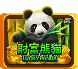 Lucky Panda