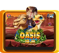 Oasis