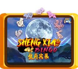 Sheng Xiao Bingo