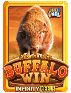 Buffalo-win