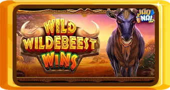 WILD-WILDEBEEST-WINS